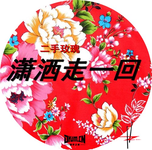 潇洒封面_副本.jpg
